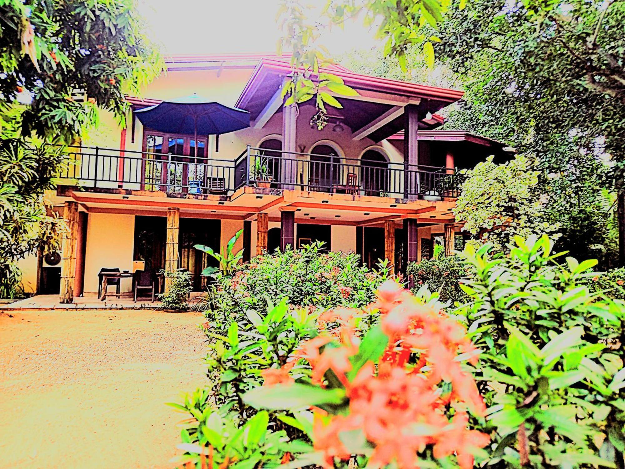 Leopard City Hostel Yala Tissamaharama Exteriér fotografie