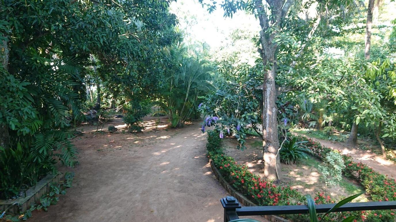 Leopard City Hostel Yala Tissamaharama Exteriér fotografie