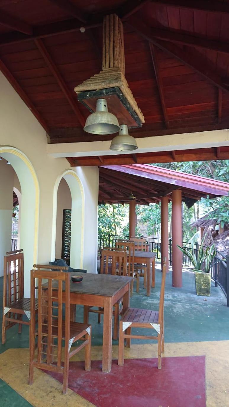 Leopard City Hostel Yala Tissamaharama Exteriér fotografie