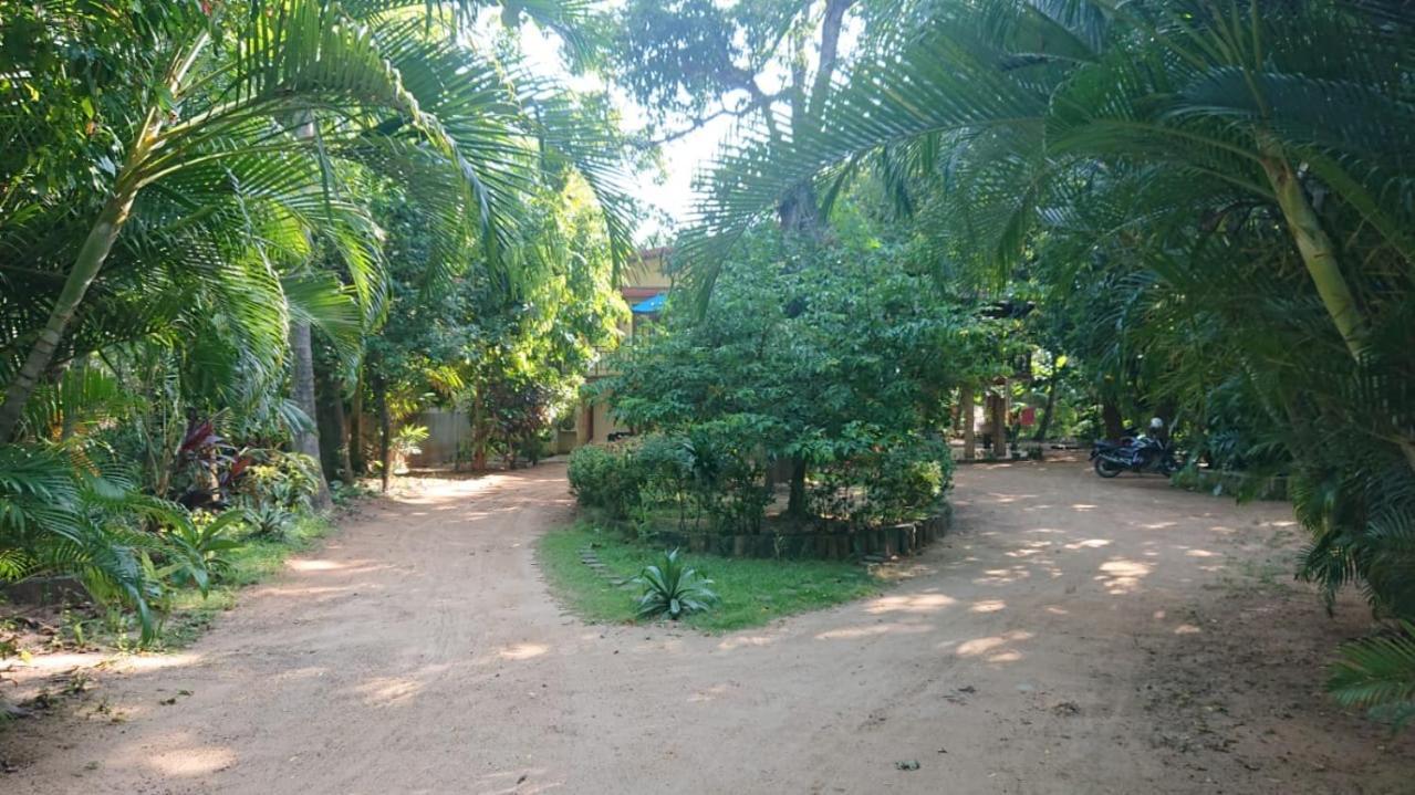 Leopard City Hostel Yala Tissamaharama Exteriér fotografie